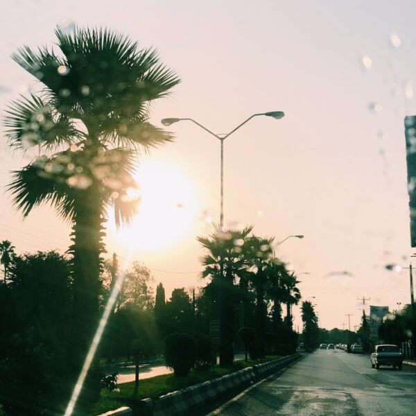 Photo "Beat the Heat (and the Hassle): Your Stress-Free Tampa Moving Guide"